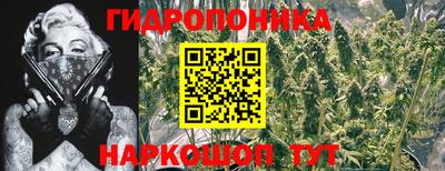 бошки Коммунар