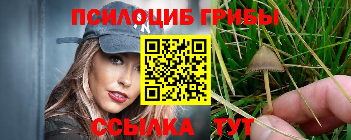 Псилоцибиновые грибы ЛСД Киров